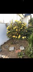 2852 Carmel St #2, Oakland, CA 94602