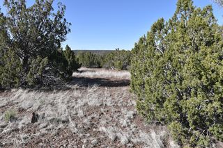 1480 E  Kruger Long Rd #552, Williams, AZ 86046