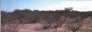 75 MOBILE, Maricopa, AZ 85139