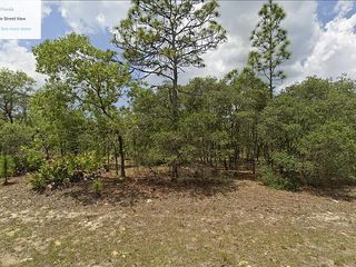 6530 N  Northvale Ter, Citrus Springs, FL 34433