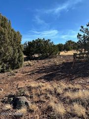 8429 Navajo Dr, Show Low, AZ 85901