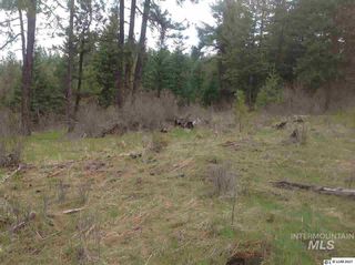 Parcel 620 Red Willow Rd, Kendrick, ID 83537