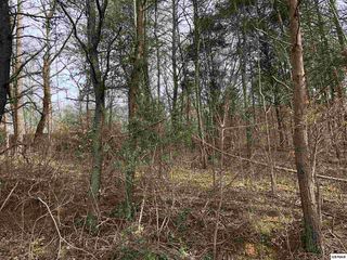 62 Georgia Dr #62, Sevierville, TN 37876