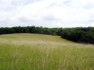 Upper Meadow