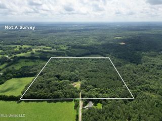 55 Amacker Rd, Poplarville, MS 39470