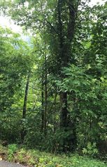 12 Little Fox Rd #12, Gatlinburg, TN 37738