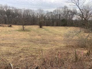 Carter Rd, Saltillo, TN 38370