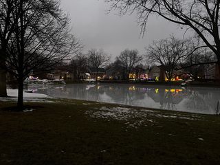 9 S  Stonington Dr, Palatine, IL 60074