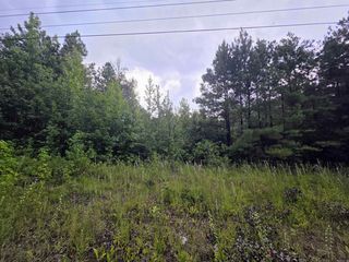 4003 Highway 54, Pine Bluff, AR 71603