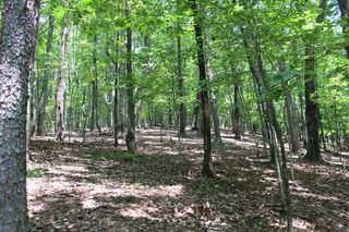 Denny Ridge Rd #4568, Jasper, GA 30143