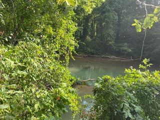10 Leatherwood Ln #10, Savannah, TN 38372