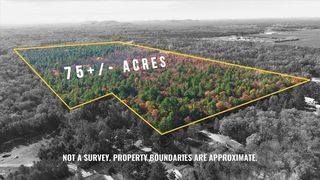 75+/- Acres Dover Drive, Adams, WI 53910