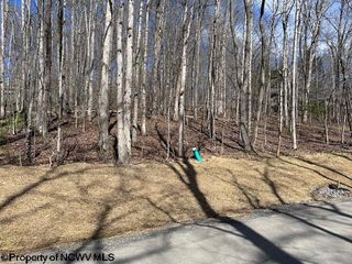 30 Woodland Dr, Elkins, WV 26241