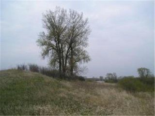 Tract 11 Trulse Lakeshore 165th St, Clitherall, MN 56524