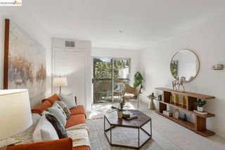 3173 Wayside Plz #218, Walnut Creek, CA 94597