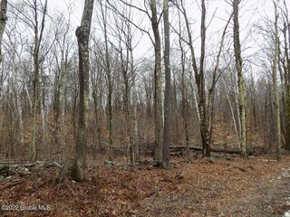 Moore Hill Rd, Stephentown, NY 12168