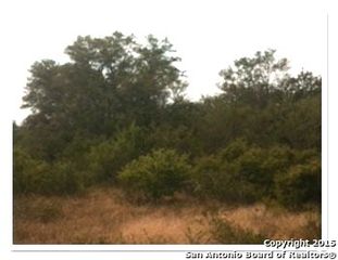 0 Clip Road LOT 15 AC, Goliad, TX 77963