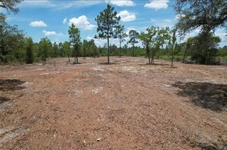 NE 56th St, Bronson, FL 32621