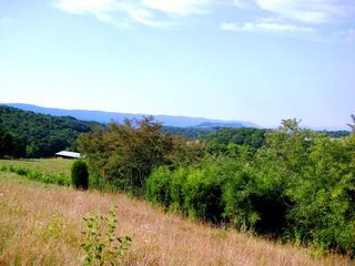 Pine Grove Rd, Lindside, WV 24951