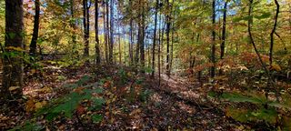 Lot 62 Dogwood Ct, Sevierville, TN 37876