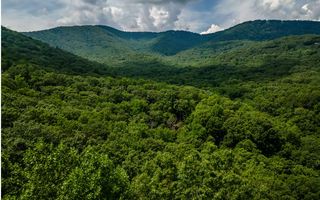 L7042 Valley View Way, Jasper, GA 30143