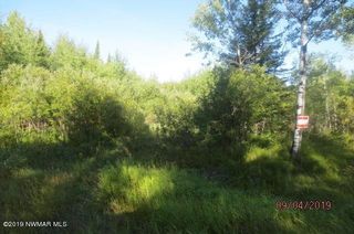 48th St NW, Williams, MN 56686