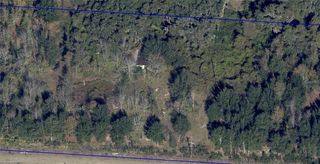 16213 Clarence Lee Rd, Groveland, FL 34736