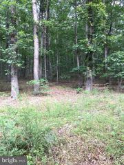Shockey Ln, Beaverdam, VA 23015