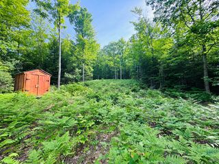 Lot #4 Mooseley Ridge Road, Phillips, ME 04966