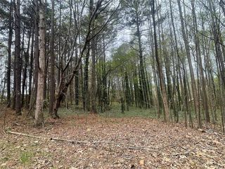 Mount Tabor Church Rd #12046, Dallas, GA 30157
