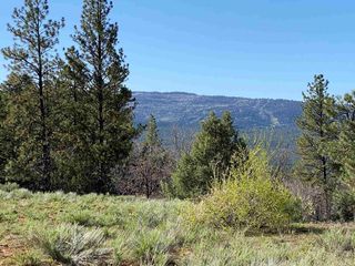 Badger Rd #6, Chama, NM 87520