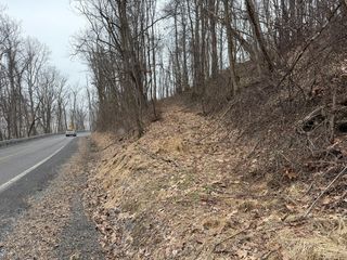 N  Route 219, Renick, WV 24966