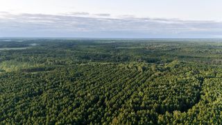 Nesw Forest Rd NE #3845, Pennington, MN 56663