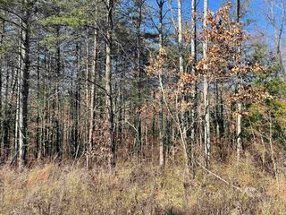 Buckley Rd, Shoals, IN 47581