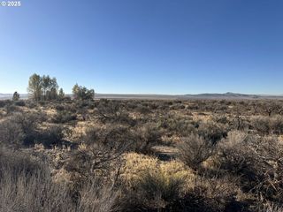 Pinion Ln, Christmas Valley, OR 97641