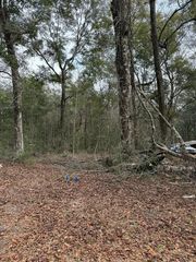 213 Tubbs Ln, Freeport, FL 32439
