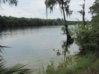  SE County Road 349, Old Town, FL 32680