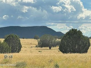 N  Breeze Ln #71, Seligman, AZ 86337