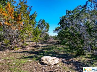 Fischer Store Rd, Wimberley, TX 78676