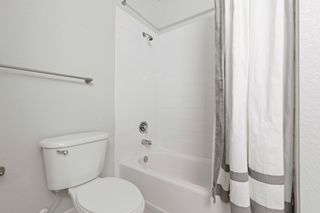 317 Racetrack Rd NW 5108 Fort - B7799a4fd2ea72eb8cde0e782578598a Full 