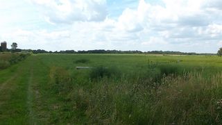 Johnson Rd, Waupun, WI 53963