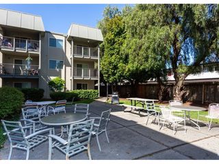 apartments for rent in hayward ca 167 rentals trulia