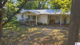 195 Oaks Ln, Guston, KY 40142
