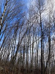 On Cth #Q, Ringle, WI 54471