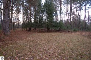 21371 Hibma Rd, Tustin, MI 49688