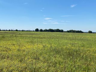 County Road 296, Carbon, TX 76435