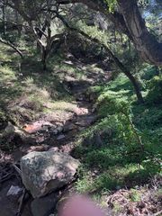 800 Toro Canyon Rd, Santa Barbara, CA 93108