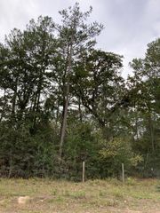 16596 Camelia Ln, Plantersville, TX 77363