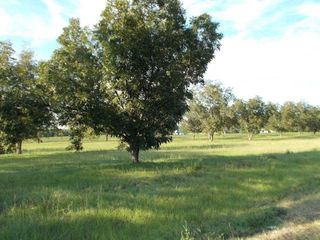 Highway 84, Screven, GA 31560