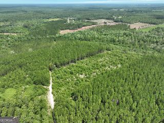 E  Pine Ln, Jesup, GA 31546